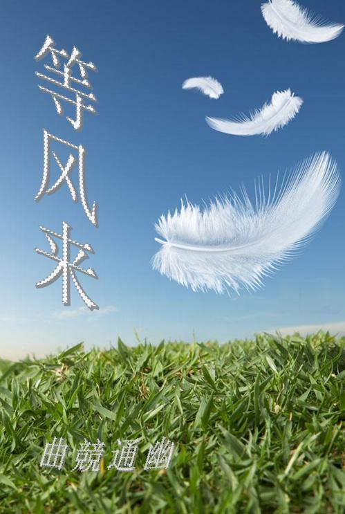 等风来