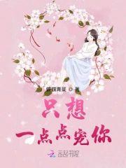 只想一点点宠你