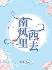 南风裏西去