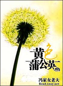 黄色蒲公英