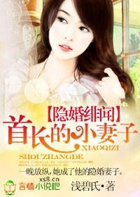 隐婚绯闻,名门小妻子