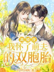 离婚夜,我怀了前夫的双胞胎