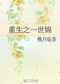 重生之一世锦