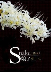 猎人同人——Snake（娘子）