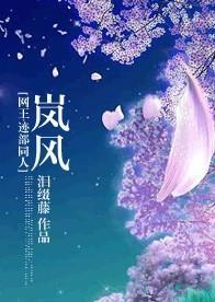 岚风