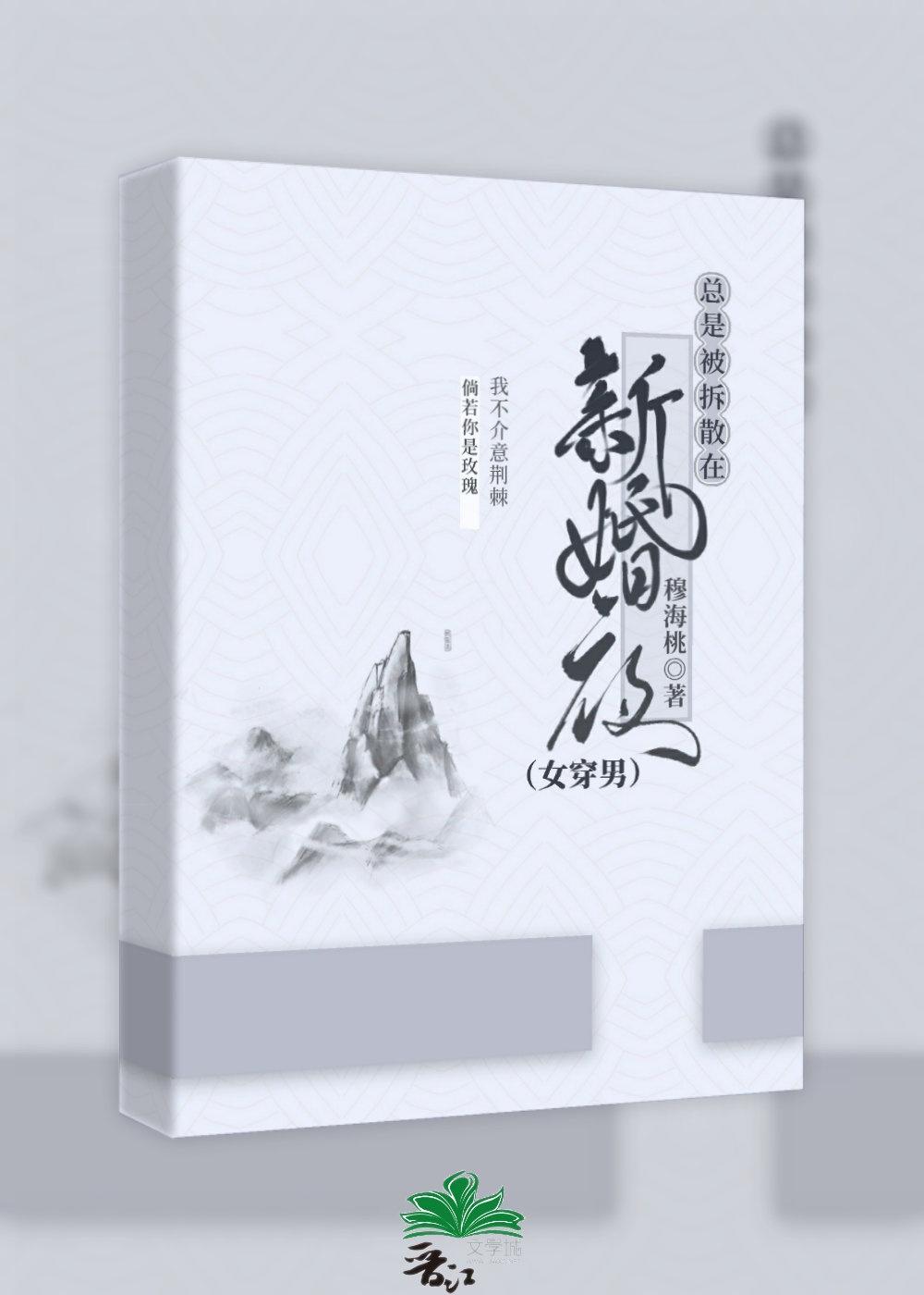 总是被拆散在新婚夜(女穿男)