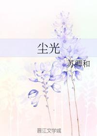 尘光