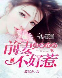 总裁接招:前妻不好惹