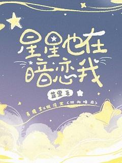 星星也在暗恋我