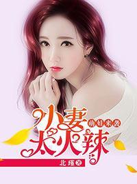 萌娃来袭:小妻太火辣