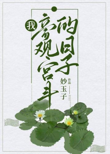 我旁观宫斗的日子