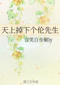 天上掉下个伦先生