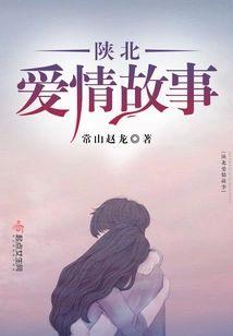 陜北爱情故事