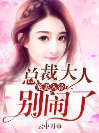 宠妻入骨:总裁大人别闹了