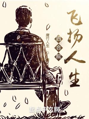 四合院:飞扬人生