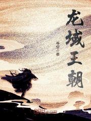 龙域王朝