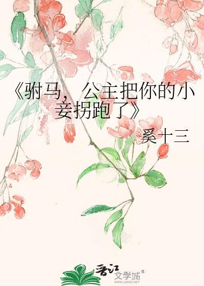 《驸马,公主把你的小妾拐跑了》