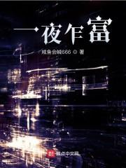 一夜乍富