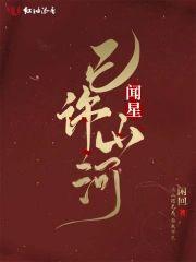 闻星已许山河