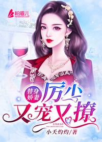 替身娇妻:厉少又宠又撩