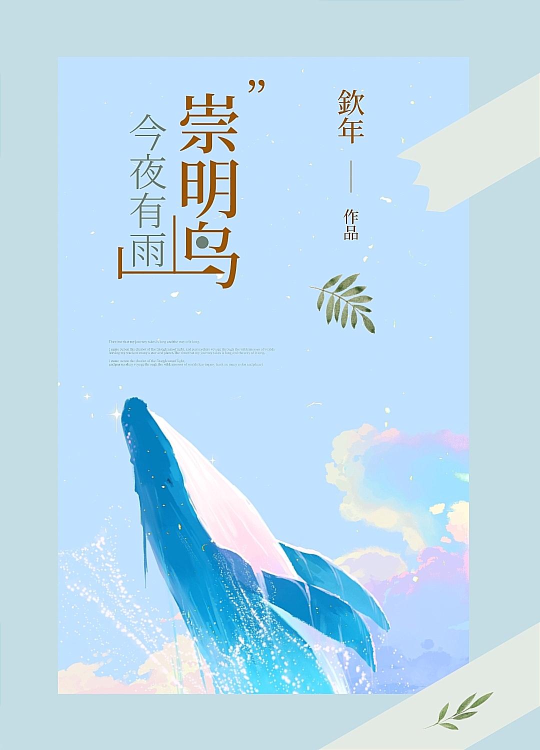 崇明岛今夜有雨