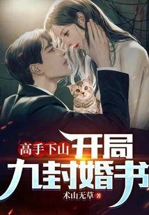 高手下山:开局九封婚书