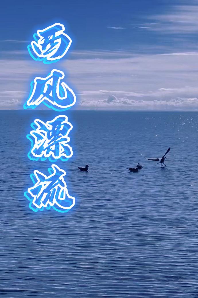 西风漂流