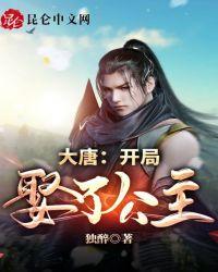 大唐:开局娶了公主