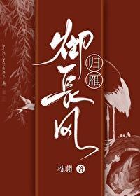 归雁御长风