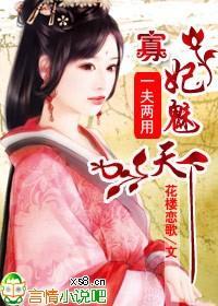 一夫两用,寡妃魅天下