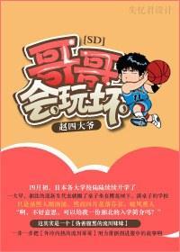 哥哥,会玩坏