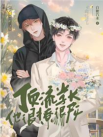 顶流学长他很撩很宠