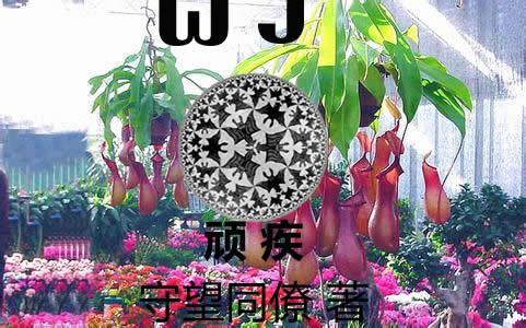 顽疾