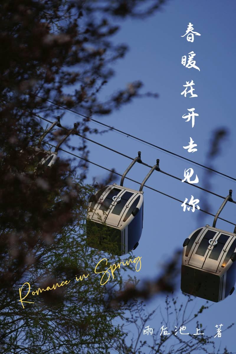 春暖花开去见你