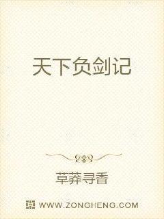 天下负剑记