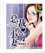 总裁的小萌妻