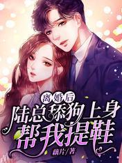 离婚后,陆总舔狗上身帮我提鞋