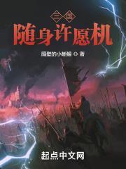 三国:随身许愿机
