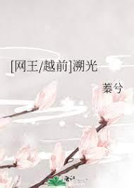 [网王_越前]溯光