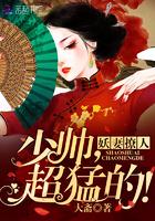 妖妻撩人:少帅,超猛的!