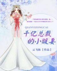 千亿总裁的小暖妻