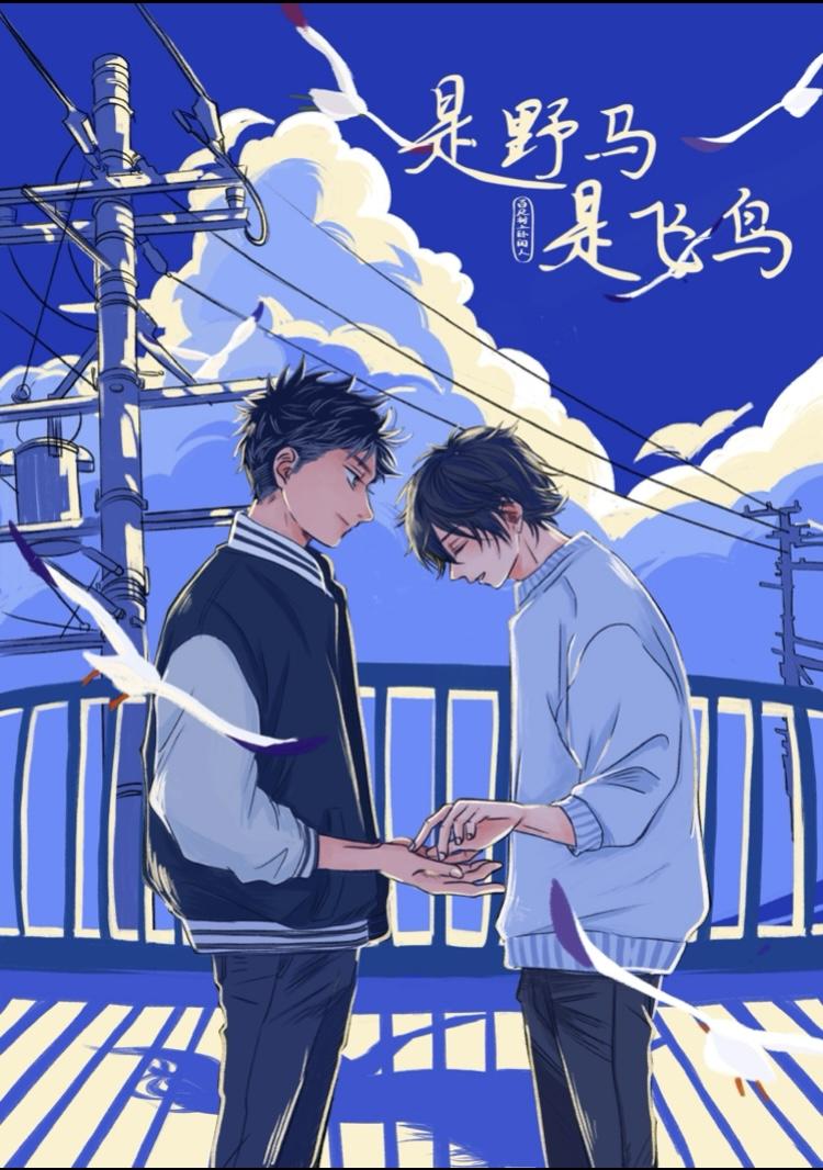 是野马，是飞鸟
