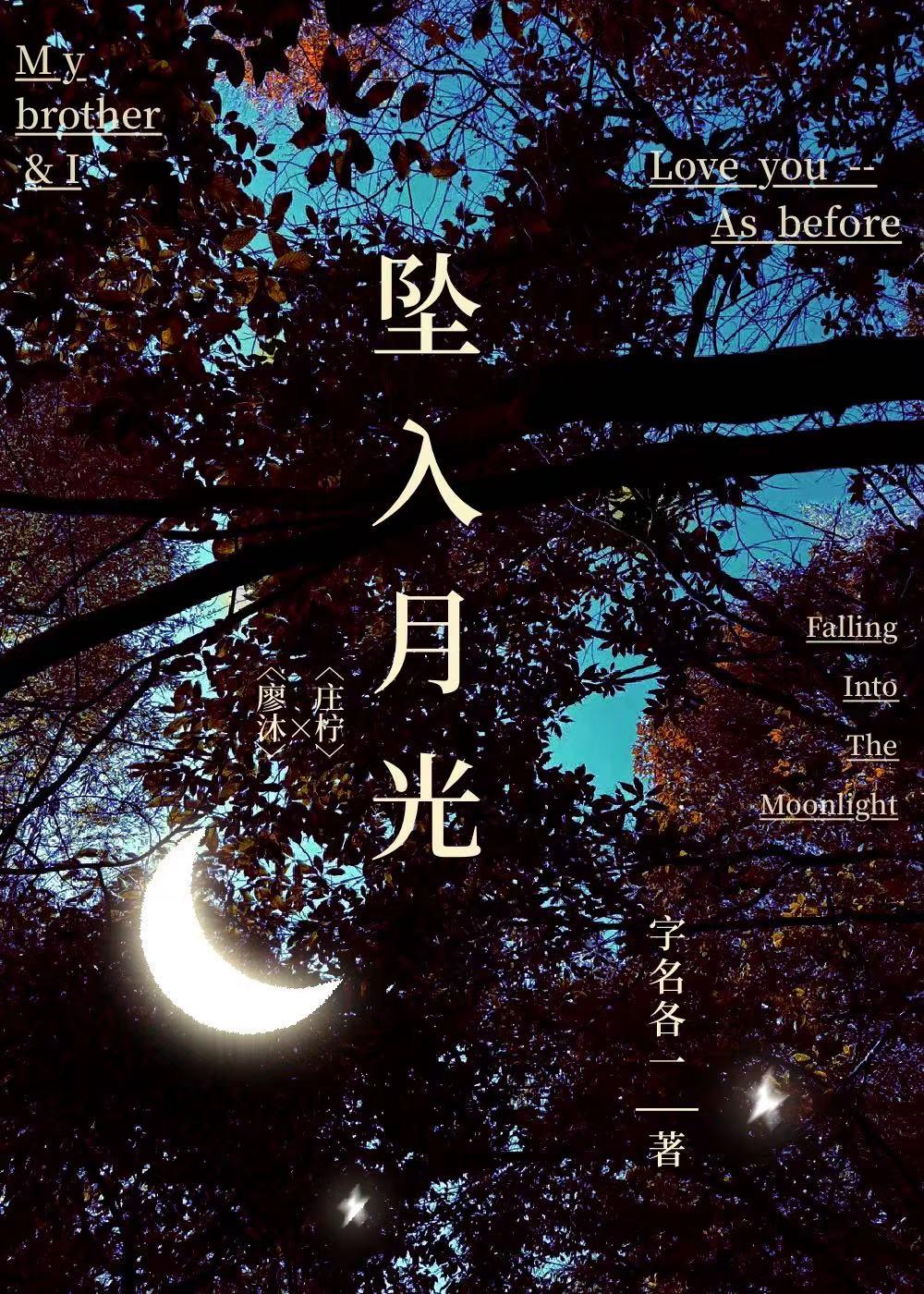 坠入月光