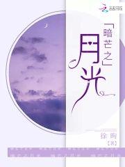 暗芒之月光