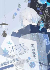 [全职高手]不灭