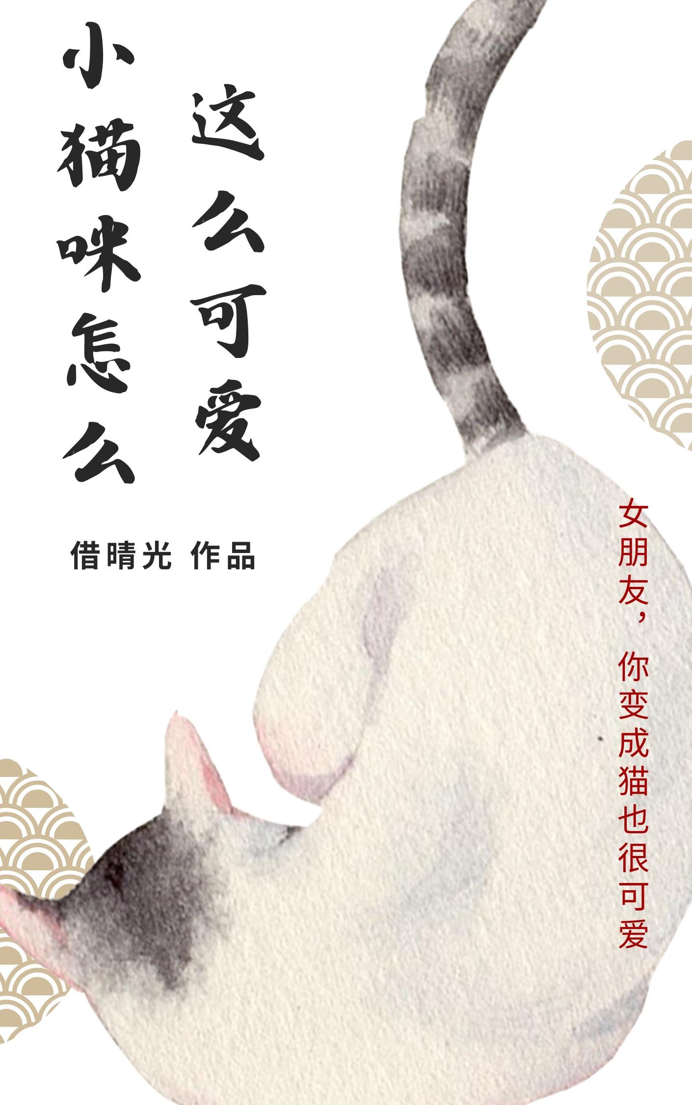 小猫咪怎么这么可爱!