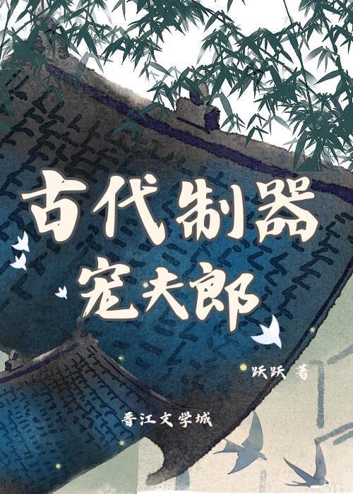 古代制器宠夫郎