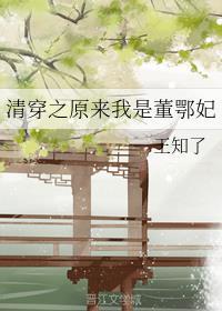 清穿之原来我是董鄂妃