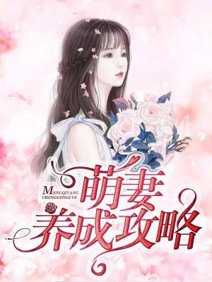 萌妻养成攻略