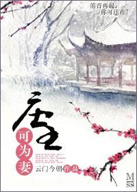 庄主可为妻